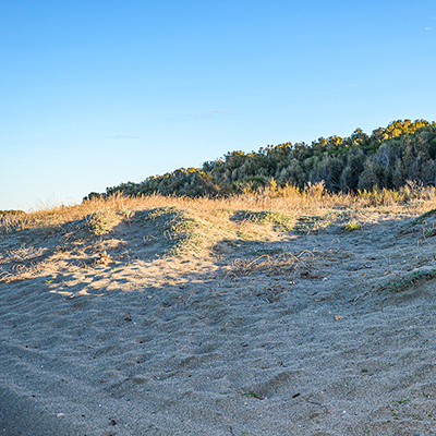 Dune di Cirò