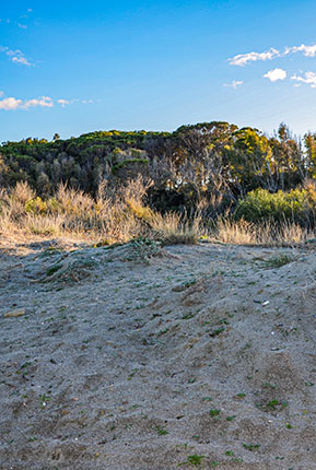 Dune di Marinella