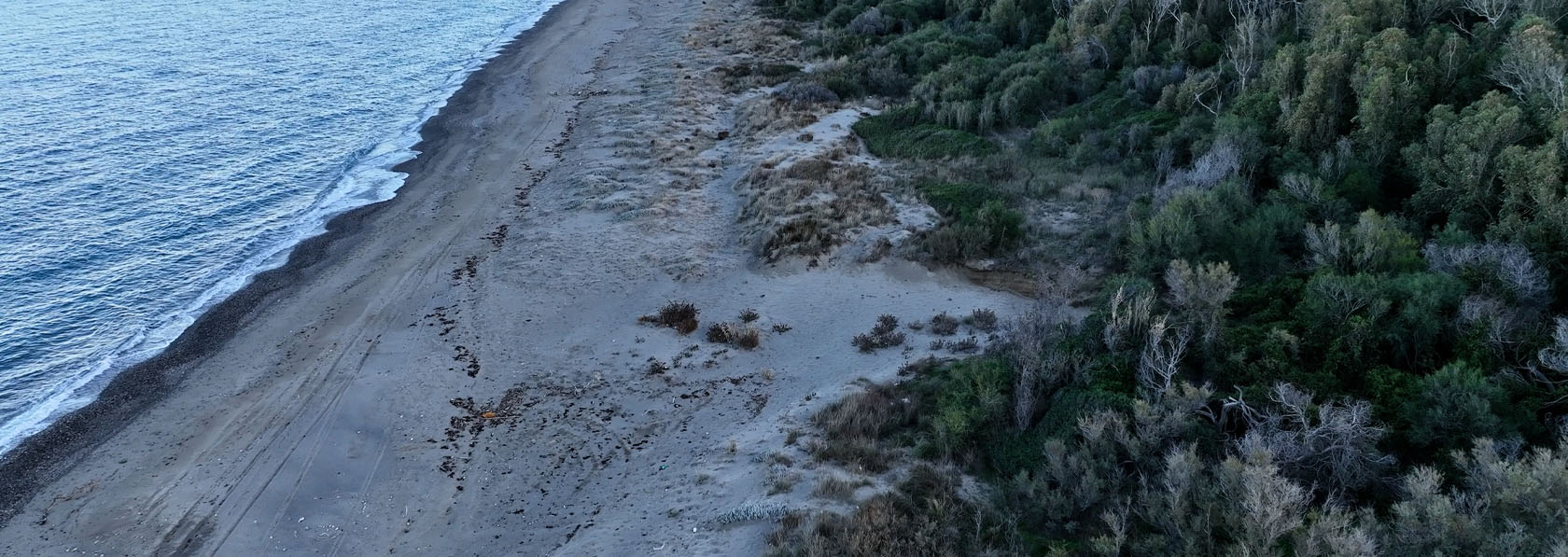 dune di marinella home